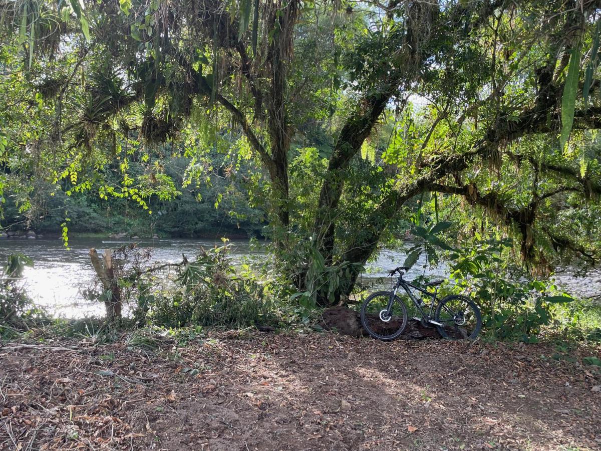 Caoni Riverside Lodge 푸에르토 키토 외부 사진