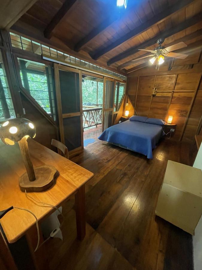 Caoni Riverside Lodge 푸에르토 키토 외부 사진