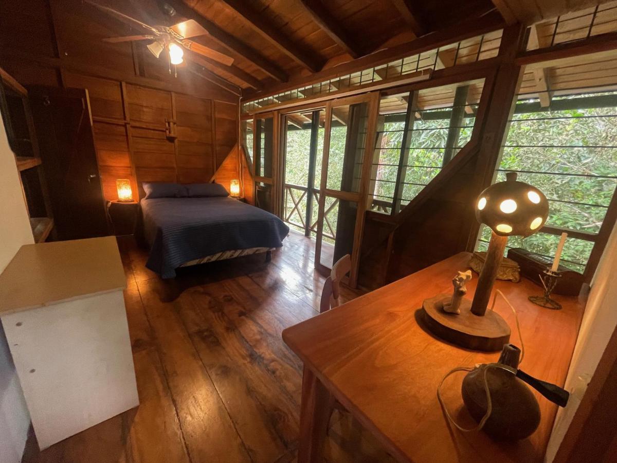 Caoni Riverside Lodge 푸에르토 키토 외부 사진