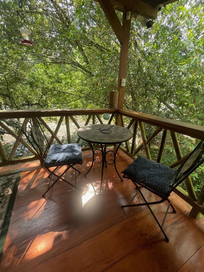 Caoni Riverside Lodge 푸에르토 키토 외부 사진